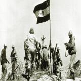 صورة المقال