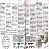 صورة المقال